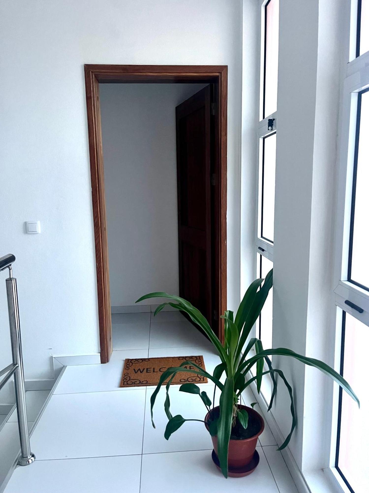 Oasis De Retour Appartement Ponta Do Sol Buitenkant foto